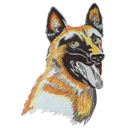 Embroidery Digitizing